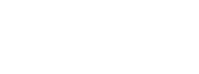 Brand Scaling Partner Logo